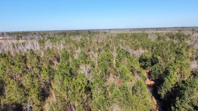 Lake Lot For Sale in Hazlehurst, Georgia