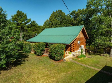 (private lake, pond, creek) Home For Sale in Sidney Arkansas