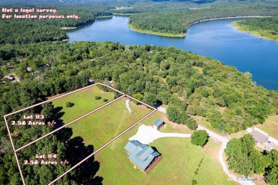 Lake Acreage For Sale in Gamaliel, Arkansas