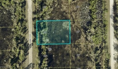 Lehigh Acres Area Lot For Sale in Lehigh Acres Florida