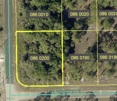 Lehigh Acres Area Lot For Sale in Lehigh Acres Florida