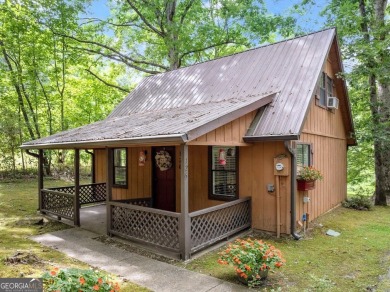 (private lake, pond, creek) Home For Sale in Clarkesville Georgia