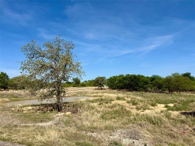 Beautiful Corner Lot in North Star Pointe on Lake Bridgeport- - photo 8