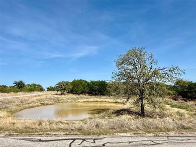 Beautiful Corner Lot in North Star Pointe on Lake Bridgeport- - photo 9