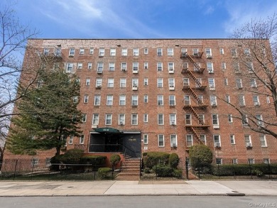 Welcome to this move-in-ready garden-level studio co-op at - photo 1