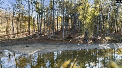 Come discover Woodside Shores, a refreshing new lakefront - photo 3