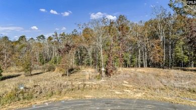 Come discover Woodside Shores, a refreshing new lakefront - photo 6