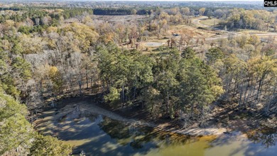 Come discover Woodside Shores, a refreshing new lakefront - photo 7