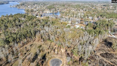 Come discover Woodside Shores, a refreshing new lakefront - photo 9