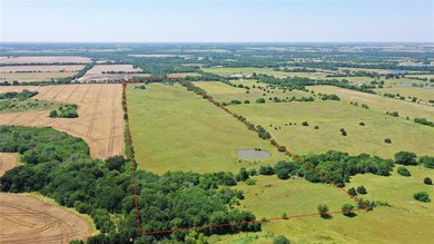 (private lake, pond, creek) Acreage For Sale in Wolfe City Texas
