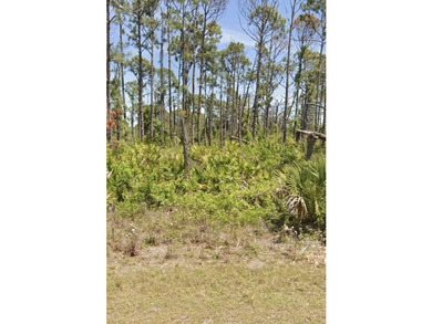 Vacant land opportunity in Port Charlotte. Lot is 0.2296acres/10 - photo 2