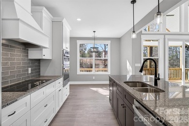 Stunning new construction waterfront home on Lake Norman - photo 11