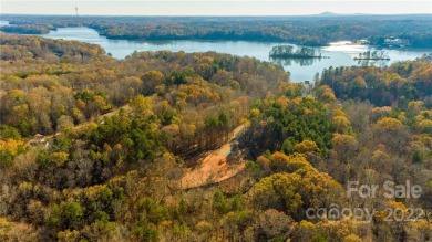 Lake Norman Acreage For Sale in Statesville North Carolina