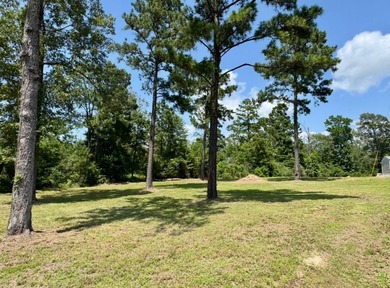 This versatile .47acre corner lot offers a readytouse RV cover - photo 5