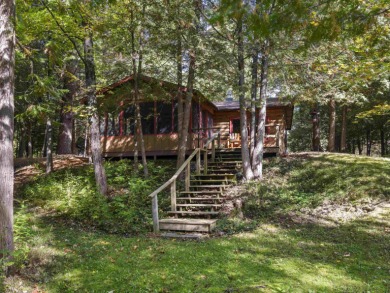 Lake Home For Sale in Thompsonville, Michigan