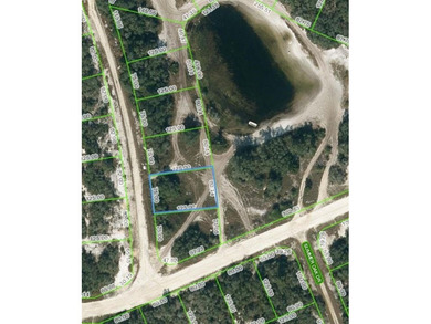 Lake Grassy Lot For Sale in Lake Placid Florida
