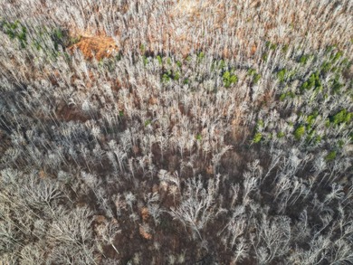 Tennessee River - Benton County Acreage For Sale in Waverly Tennessee