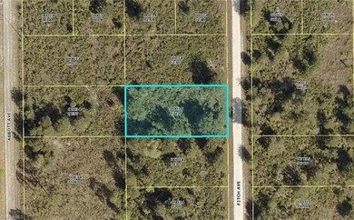 Lehigh Acres Area Lot For Sale in Lehigh Acres Florida