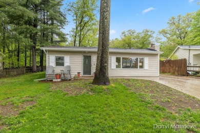 Lake Home For Sale in Newaygo, Michigan