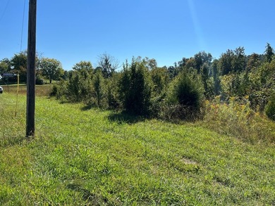 Vacant land with road frontage, 2.9 acres m/l, partly in the - photo 3
