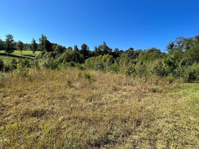 Vacant land with road frontage, 2.9 acres m/l, partly in the - photo 4