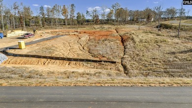 Lake Murray Lot For Sale in Prosperity South Carolina