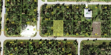 Under contract-accepting backup offers. This lot is FLOOD ZONE X - photo 1