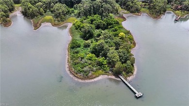 A truly once-in-a-lifetime offering in the heart of Poquoson - photo 11