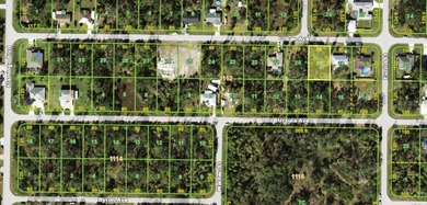 Under contract-accepting backup offers. This lot is FLOOD ZONE X - photo 1
