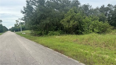 Lehigh Acres Area Lot For Sale in Lehigh Acres Florida