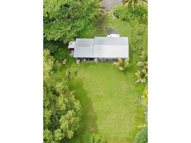 PAHOA - 14-3276 Pualaa Street in Kaniahiku Village House Lots - photo 3