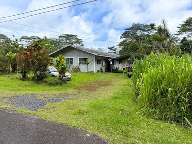 PAHOA - 14-3276 Pualaa Street in Kaniahiku Village House Lots - photo 5