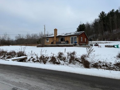 Lake Home For Sale in Troy, Pennsylvania