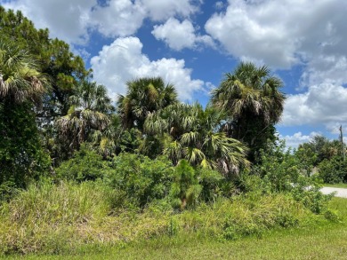Northport Waterway Lakes and Canals Lot For Sale in North Port Florida