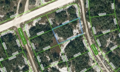 Lake Grassy Lot For Sale in Lake Placid Florida