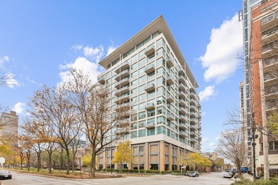 Lake Michigan - Cook County Condo For Sale in Chicago Illinois