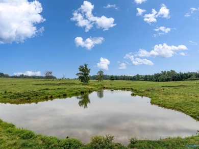 Discover the possibilities with this exceptional 70-acre farm, a - photo 2