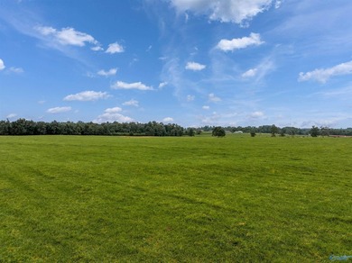 Discover the possibilities with this exceptional 70-acre farm, a - photo 10