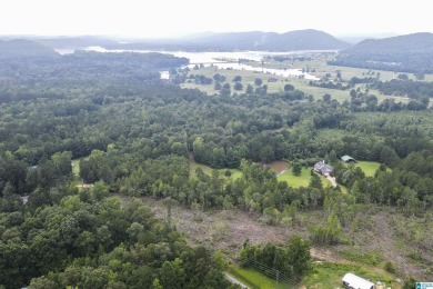 Lake Acreage For Sale in Ohatchee, Alabama