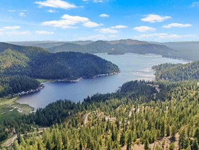Lake Acreage For Sale in Loon Lake, Washington