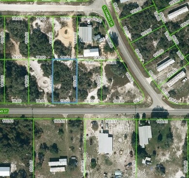 Lake Grassy Lot For Sale in Lake Placid Florida