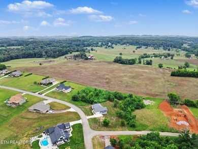 Welcome home to Eagle's View Subdivision located in Dandridge - photo 50