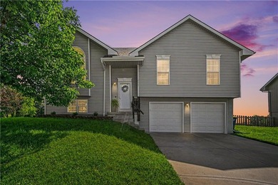 Smithville Lake Home Sale Pending in Smithville Missouri