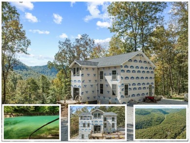 Lake Home For Sale in Wilder, Tennessee