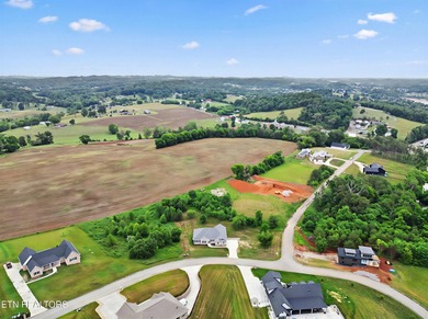 Welcome home to Eagle's View Subdivision located in Dandridge - photo 52