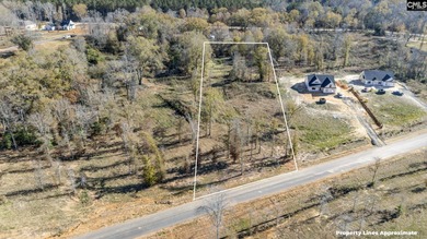 Lake Murray Lot For Sale in Prosperity South Carolina