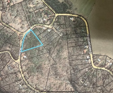 Lake Eufaula / Walter F. George Lot For Sale in Georgetown Georgia