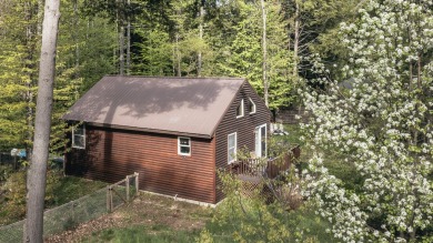Lake Home For Sale in Oxford, Maine