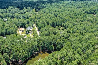 Very gentle slope Lake Lot in Shenandoah section of Savannah - photo 17