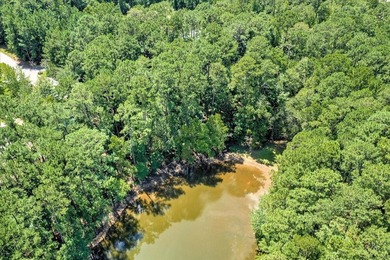 Very gentle slope Lake Lot in Shenandoah section of Savannah - photo 18